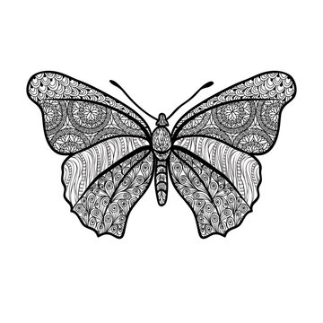 Butterfly. Doodle vector decorative summer design element