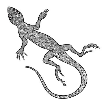 Lizard isolated. Hand drawn vector salamander with ethnic ornament