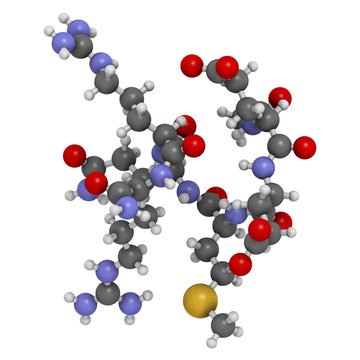 Acetyl hexapeptide-3 (argireline) molecule. 3D rendering.  