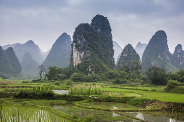 The beautiful mountains and rice fields scenery in spring
