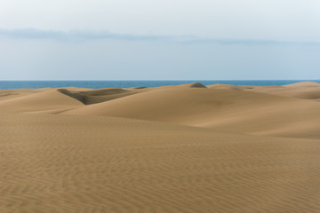 Fototapeta na wymiar Desert with sand dunes in Gran Canaria, Spain