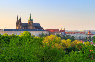 View of Prague castle. View from the green gardens of Prague Castle