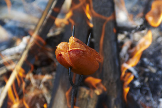 Sausage on a stick over the fire. Preparing sausages on camp fire