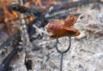 Sausage on a stick over the fire. Preparing sausages on camp fire

