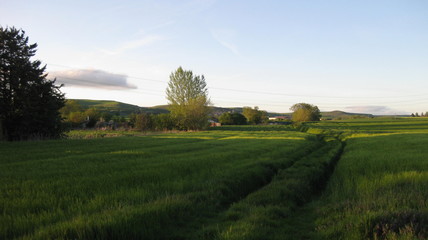 Paisajes veraniegos.