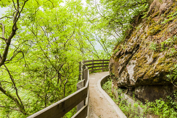 Obraz premium Marling, Waalweg, Wanderweg, Marling, Waalweg, Wald, Felsen, Felswand, Spazierweg, Frühling, Vinschgau, Südtirol, Italien