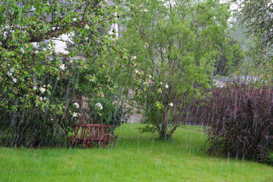 Wetter: Garten im Regen mit B&auml;umen und Leiterwagen
