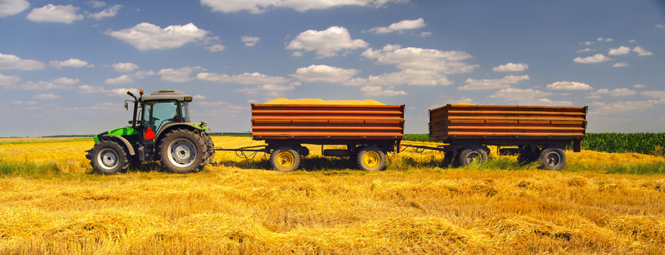 Fototapeta Modern green tractor on the agricultural field on sunny summer