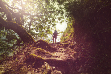 Hike in Nepal jungle