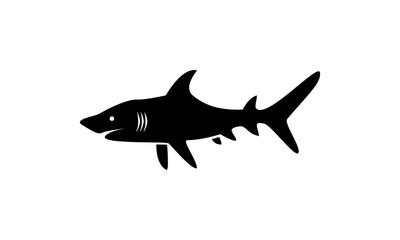 Shark Logo Design