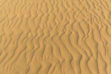 Desert with sand dunes in Gran Canaria, Spain