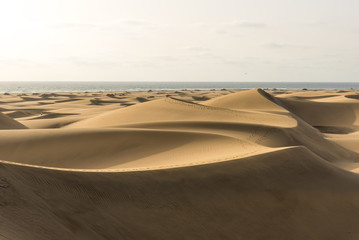 Desert with sand dunes in Gran Canaria, Spain
