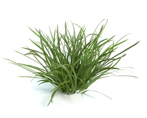 3d illustration of grass - 111176901