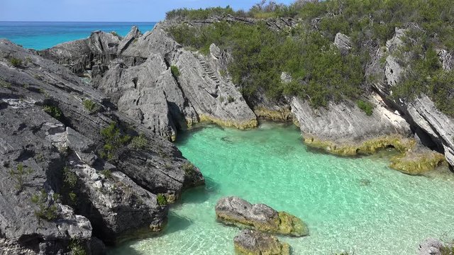 Flock of White-tailed tropicbird over Jobson's Cove Beach in South Shore Park. Bermuda.
