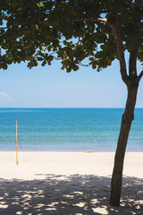 Tropical landscape. Beach with white sand and blue ocean. Palm trees and tropical hot summer.