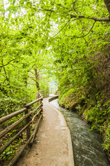 Fototapeta premium Marling, Waalweg, Marlinger Waalweg, Wanderweg, Waldweg, Wald, Wanderferien, Frühling, Vinschgau, Südtirol, Italien