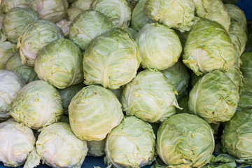 Fototapeta na wymiar Freshness Cabbage Vegetable