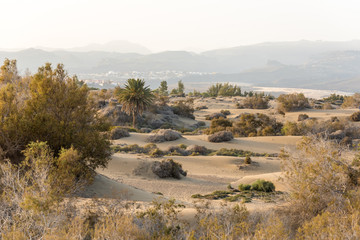 Desert with sand dunes in Gran Canaria, Spain