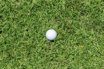 Golf ball in grass
