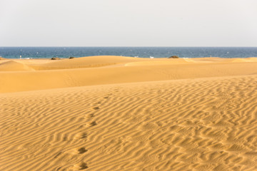 Fototapeta na wymiar Foot prints in desert with sand dunes in Gran Canaria, Spain