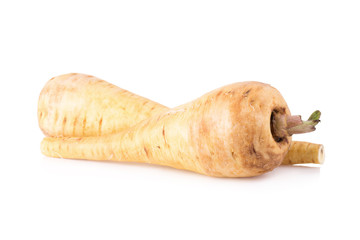 Fresh parsnip roots on a white background