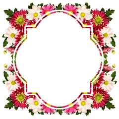 Chrysanthemum flowers frame