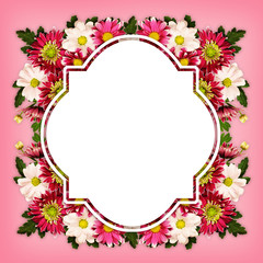 Chrysanthemum flowers frame