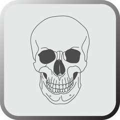 Skull Icon. skull Icon Art. skull Icon eps. skull Icon Image. skull Icon logo. skull Icon Sign. skull Icon Flat. skull Icon design. skull Icon Vector.