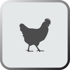 Graphical flat icon, button of chicken. Vector.