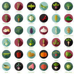 Set of flat round vegetable icons