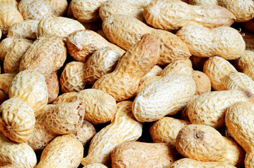 Close-up of dried peanuts