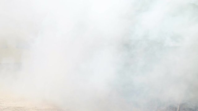 Smoke of fogging mosquito to prevent of dengue fever and zika virus