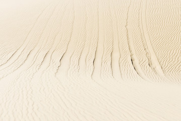 Fototapeta na wymiar trace on the desert in ,Muine,Viet Nam.