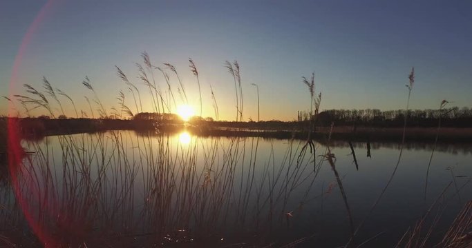 Luftaufnahme See mit Reet im Sonnenuntergang