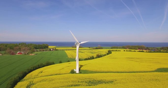 Luftaufnahme Windkraftanlage im Rapsfeld mit der Ostsee im Hintergrund