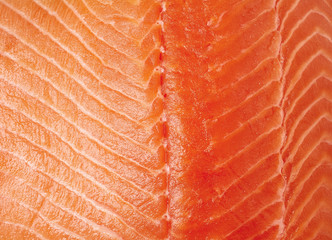Fresh raw salmon fillet background