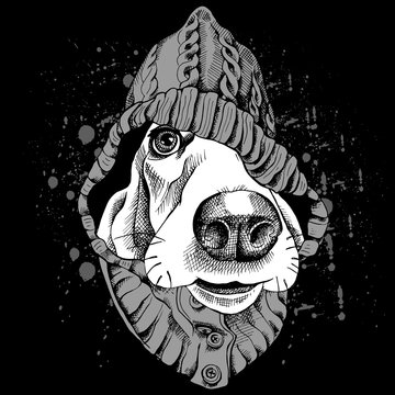 The poster with the image of the dog Basset Hound in the hood. Vector illustration.