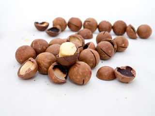 macadamia nuts fruits with shell on white background