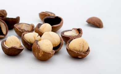 macadamia nuts fruits with shell on white background