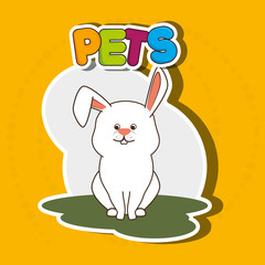 cute pets design 
