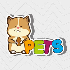 cute pets design 