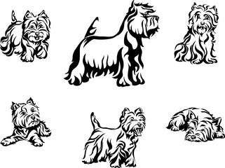 dog, purebred, breed, thoroughbred, vector, graphics, vector, image, line, Terrier