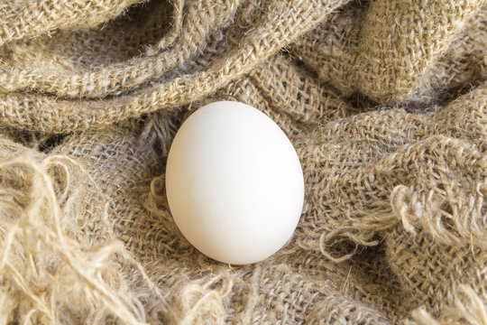 close-up white egg on a Brown canvas