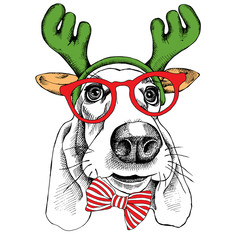 The christmas poster dog Basset Hound portrait in the mask Santa's antler reindeer and glasses. Vector illustration.