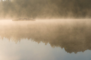 Obraz na płótnie Canvas Rowery wodne we mgle