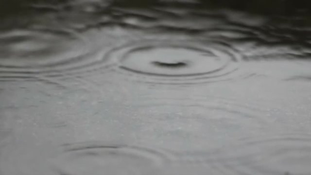 Rain drops dripping in a puddle - slow motion
