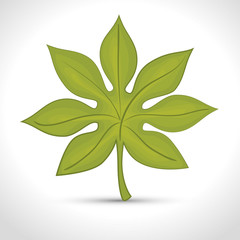 green leafs isolated design 