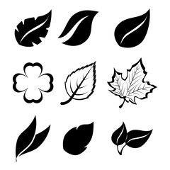 green leafs isolated design 