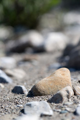 Stone in dry watercourse