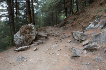 Naklejka na ściany i meble The trail in the Himalayas